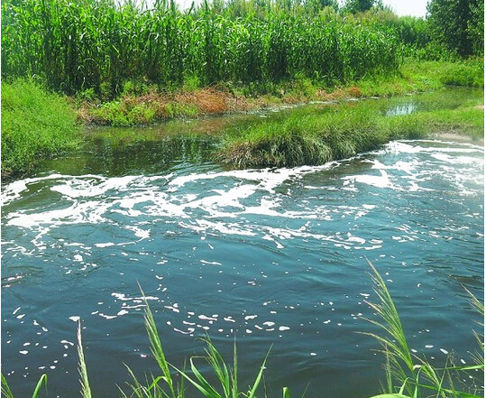 污水變廢為寶記 實現生活污水零排放